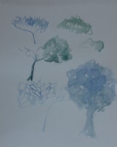 Ex 12 Trees sketches 3