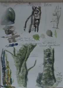Ex 12 Trees sketches 4